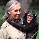 Jane Goodall